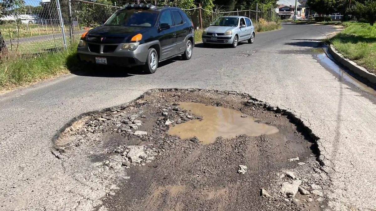 BACHE ARCHIVO